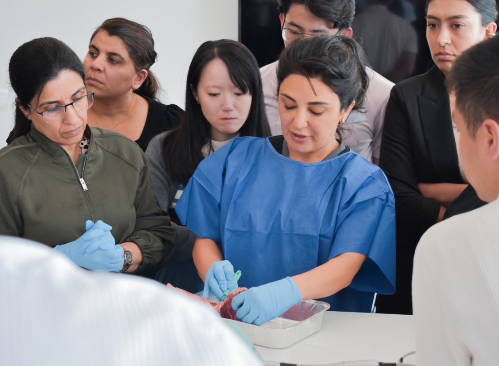 Clinicians at a DIA hands-on implant training session