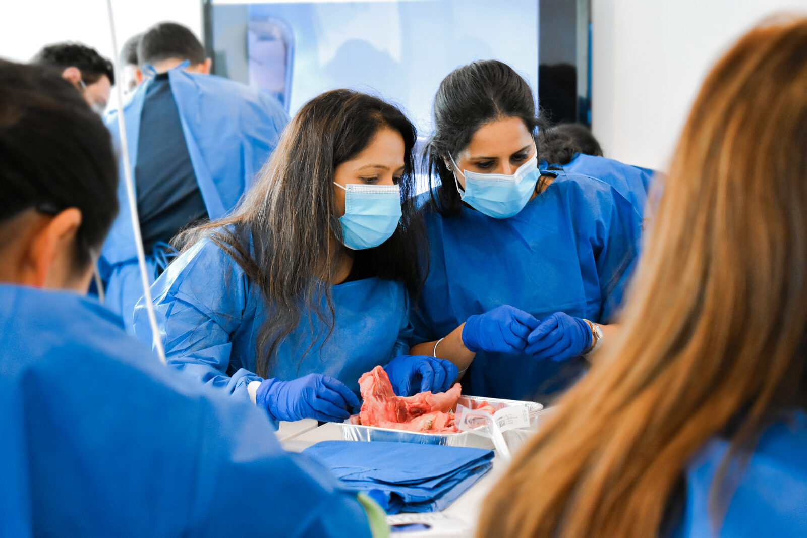 Delegates at a Dental and Implant Academy course